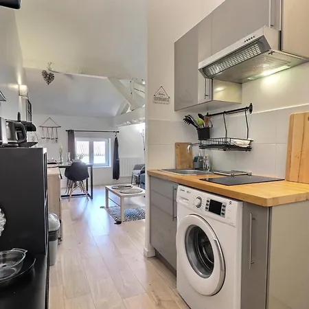 Appartamento Charming Studio Facing Tete D'or Caluire-et-Cuire